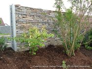 Steinzaun Garten Sichtschutz Gestaltung Stein Windschutz